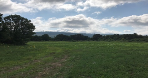 2 and 50 hopmeadow street